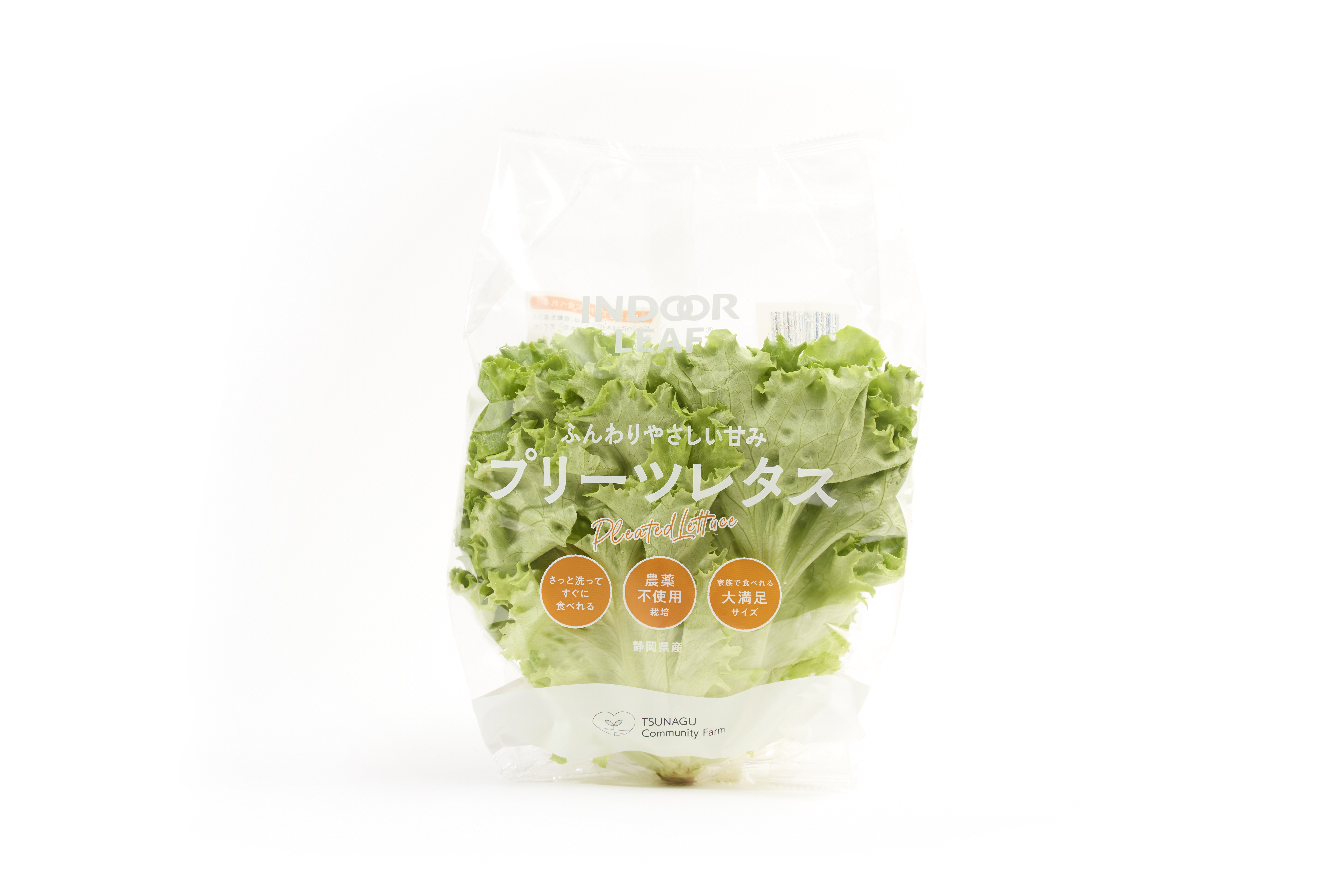 プリーツレタス
